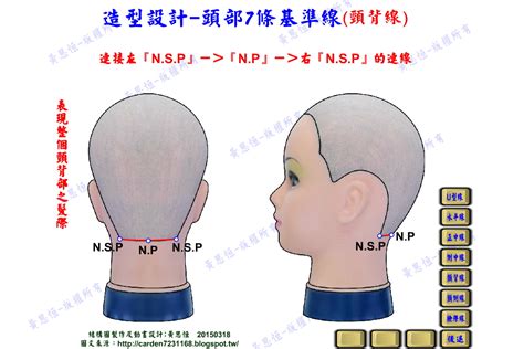 頭部七條基準線中 左頸側點連至右頸側點的是